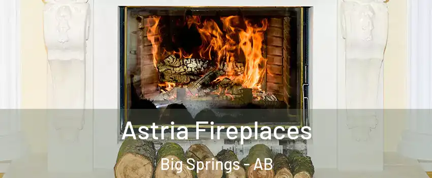  Astria Fireplaces Big Springs - AB