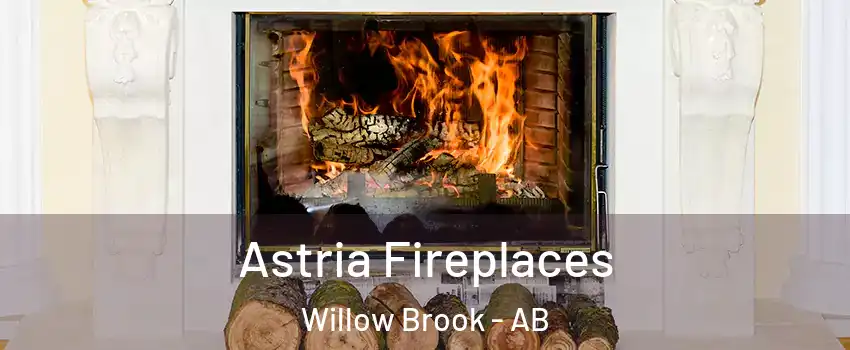  Astria Fireplaces Willow Brook - AB