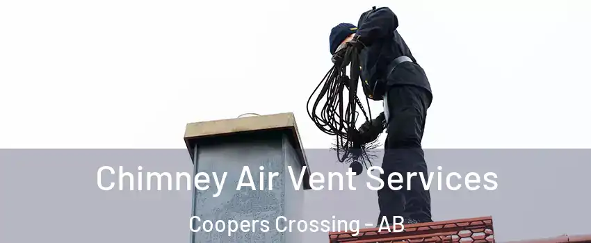  Chimney Air Vent Services Coopers Crossing - AB