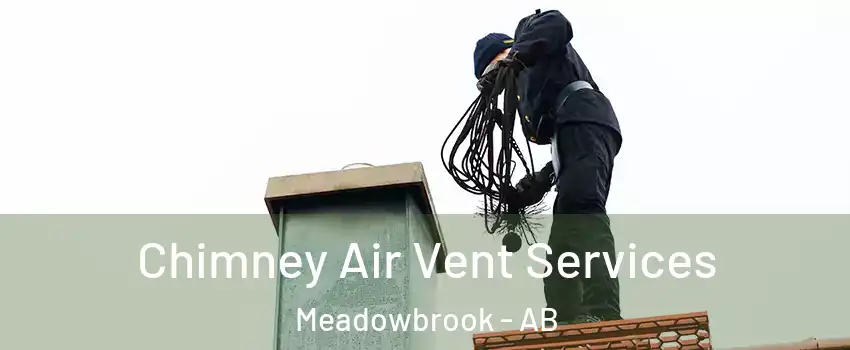  Chimney Air Vent Services Meadowbrook - AB