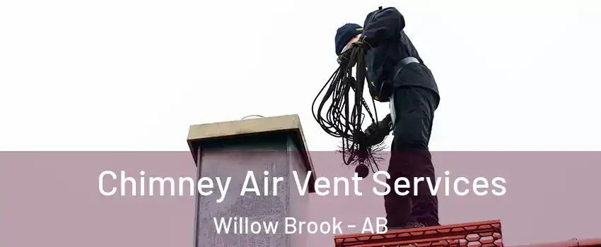  Chimney Air Vent Services Willow Brook - AB