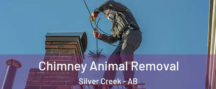 Chimney Animal Removal Silver Creek - AB