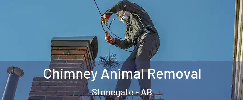 Chimney Animal Removal Stonegate - AB
