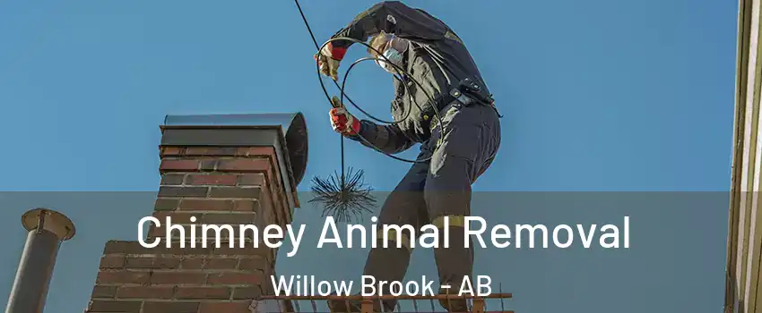 Chimney Animal Removal Willow Brook - AB