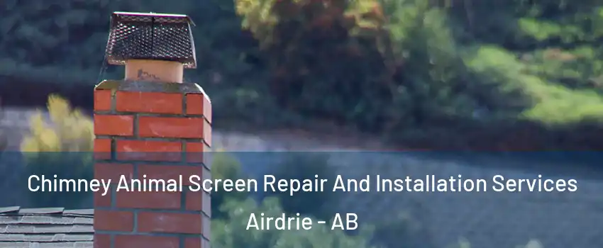  Chimney Animal Screen Repair And Installation Services Airdrie - AB