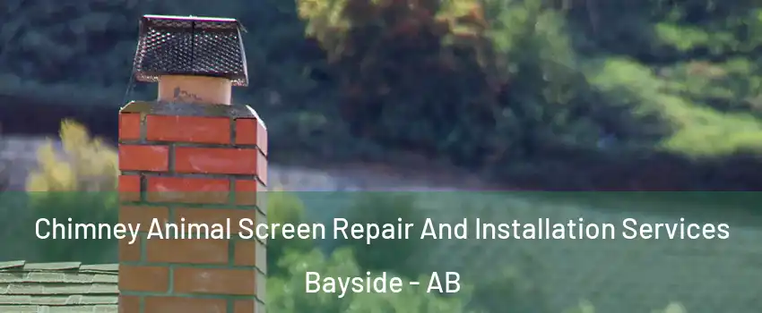  Chimney Animal Screen Repair And Installation Services Bayside - AB