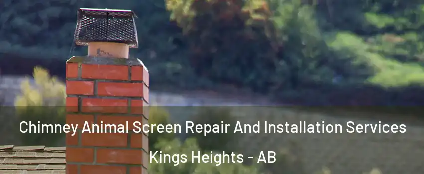  Chimney Animal Screen Repair And Installation Services Kings Heights - AB