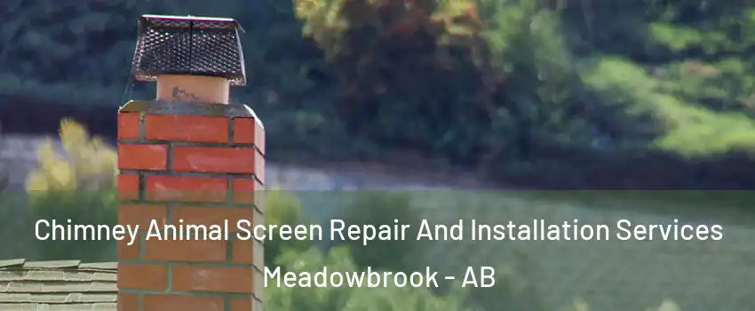  Chimney Animal Screen Repair And Installation Services Meadowbrook - AB