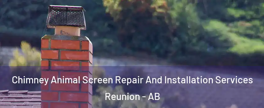  Chimney Animal Screen Repair And Installation Services Reunion - AB