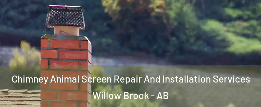 Chimney Animal Screen Repair And Installation Services Willow Brook - AB