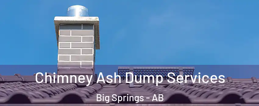  Chimney Ash Dump Services Big Springs - AB