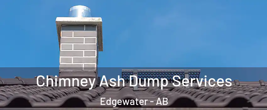  Chimney Ash Dump Services Edgewater - AB