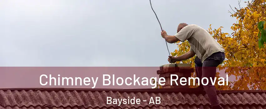  Chimney Blockage Removal Bayside - AB