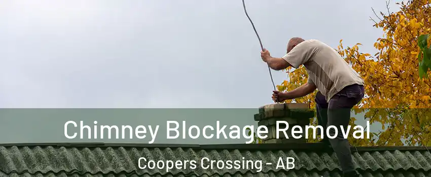  Chimney Blockage Removal Coopers Crossing - AB