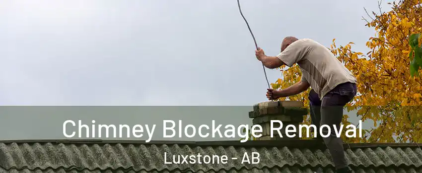  Chimney Blockage Removal Luxstone - AB