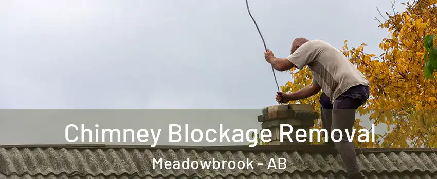  Chimney Blockage Removal Meadowbrook - AB