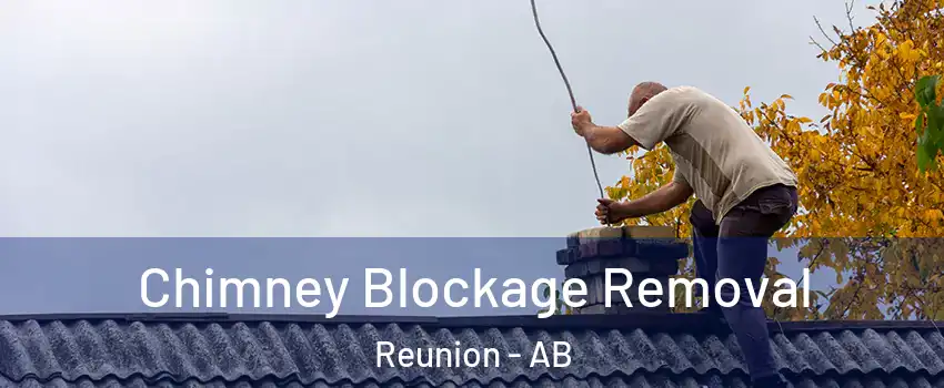  Chimney Blockage Removal Reunion - AB