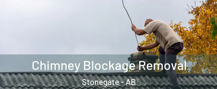  Chimney Blockage Removal Stonegate - AB