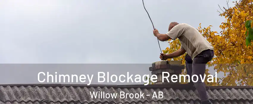  Chimney Blockage Removal Willow Brook - AB
