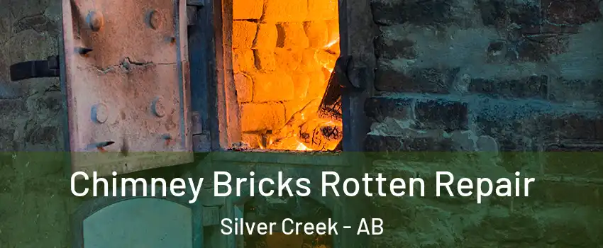  Chimney Bricks Rotten Repair Silver Creek - AB