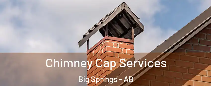  Chimney Cap Services Big Springs - AB