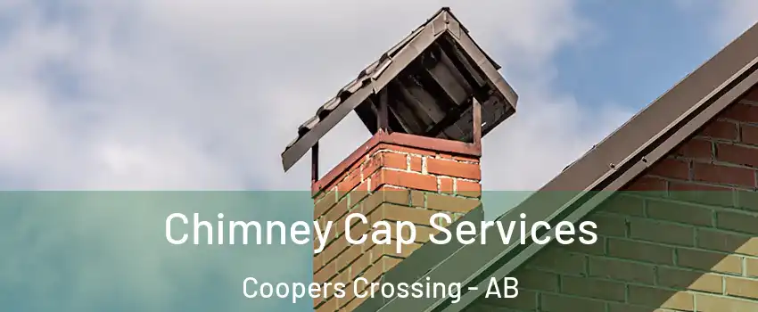  Chimney Cap Services Coopers Crossing - AB