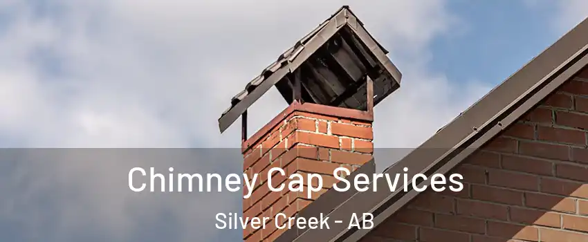  Chimney Cap Services Silver Creek - AB