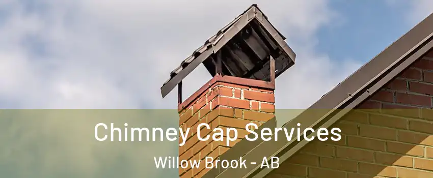  Chimney Cap Services Willow Brook - AB