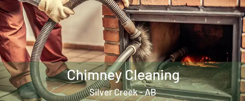 Chimney Cleaning Silver Creek - AB