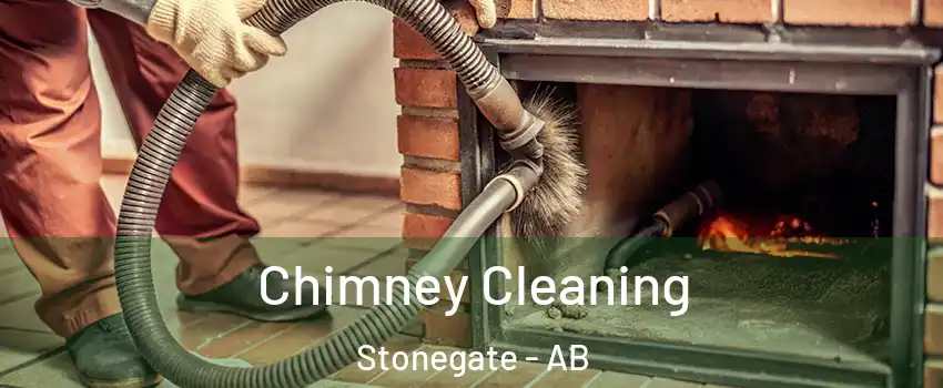  Chimney Cleaning Stonegate - AB