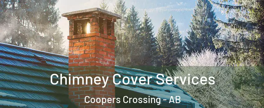  Chimney Cover Services Coopers Crossing - AB