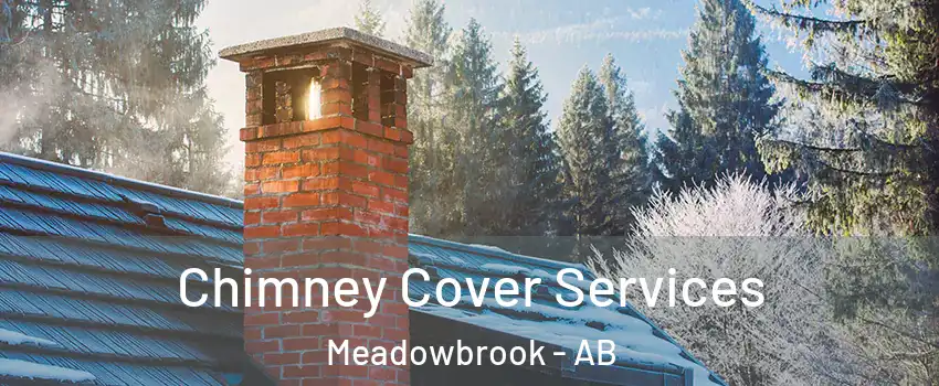  Chimney Cover Services Meadowbrook - AB