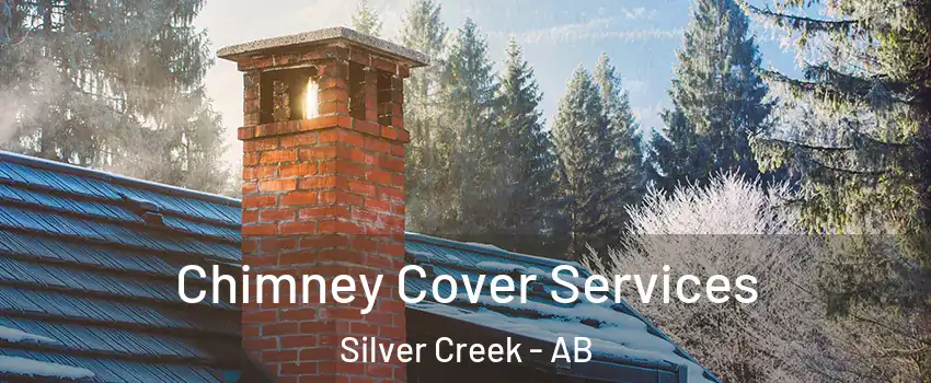  Chimney Cover Services Silver Creek - AB