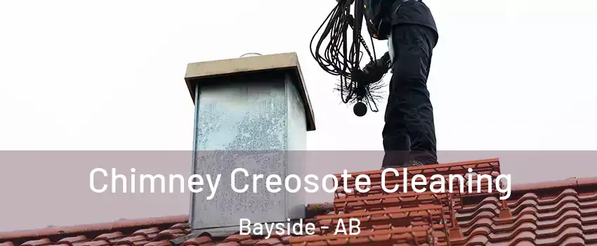  Chimney Creosote Cleaning Bayside - AB