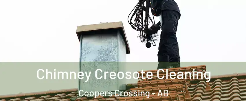  Chimney Creosote Cleaning Coopers Crossing - AB