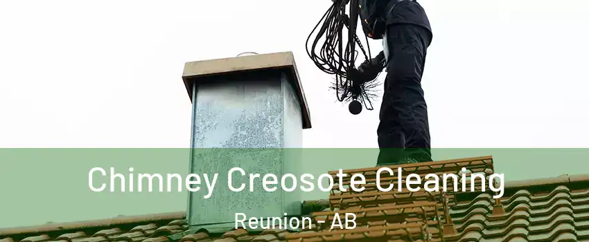  Chimney Creosote Cleaning Reunion - AB
