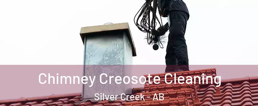  Chimney Creosote Cleaning Silver Creek - AB