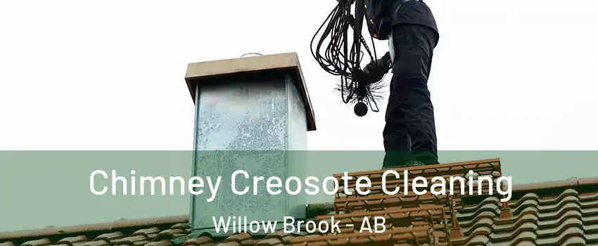  Chimney Creosote Cleaning Willow Brook - AB