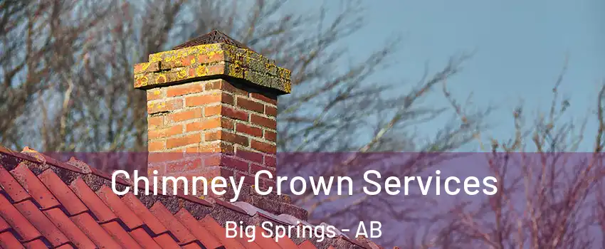  Chimney Crown Services Big Springs - AB