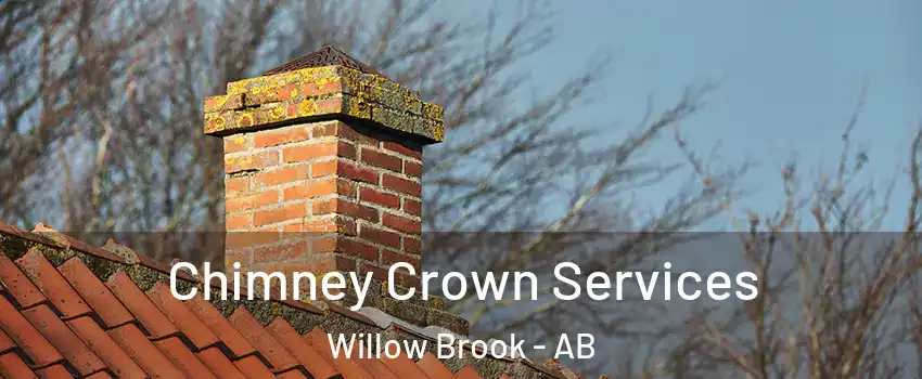  Chimney Crown Services Willow Brook - AB