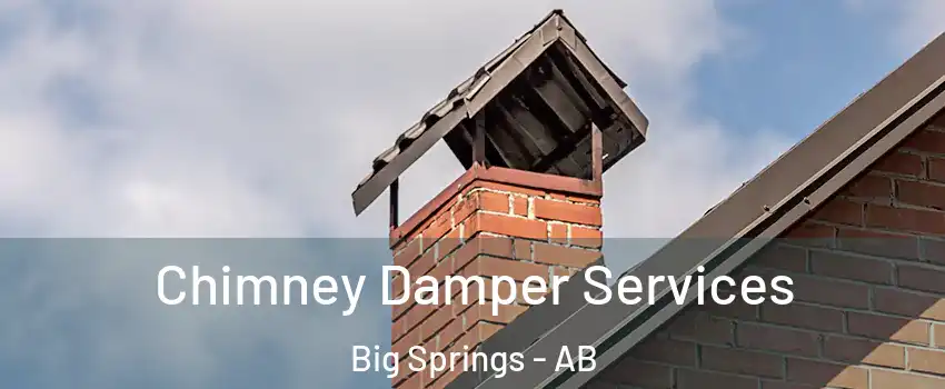  Chimney Damper Services Big Springs - AB