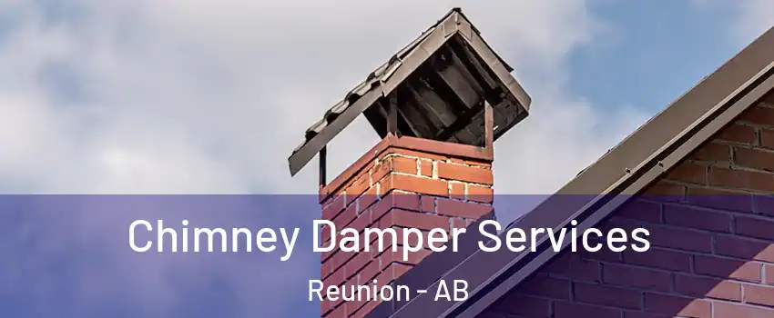  Chimney Damper Services Reunion - AB
