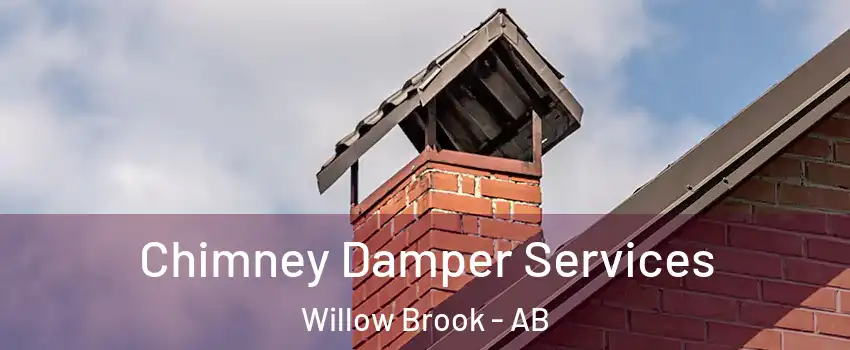  Chimney Damper Services Willow Brook - AB