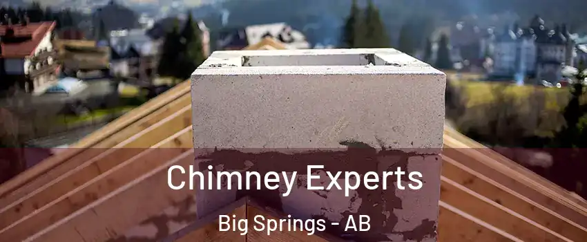 Chimney Experts Big Springs - AB