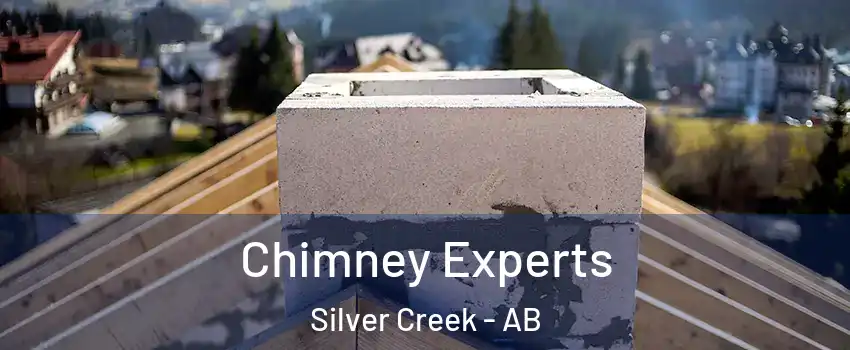 Chimney Experts Silver Creek - AB
