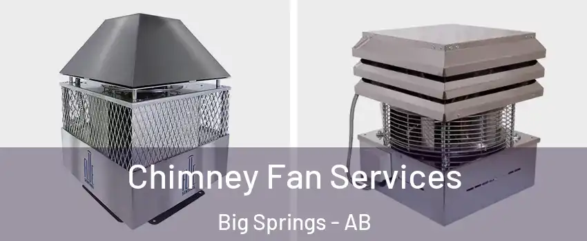  Chimney Fan Services Big Springs - AB