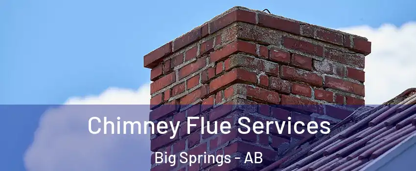  Chimney Flue Services Big Springs - AB