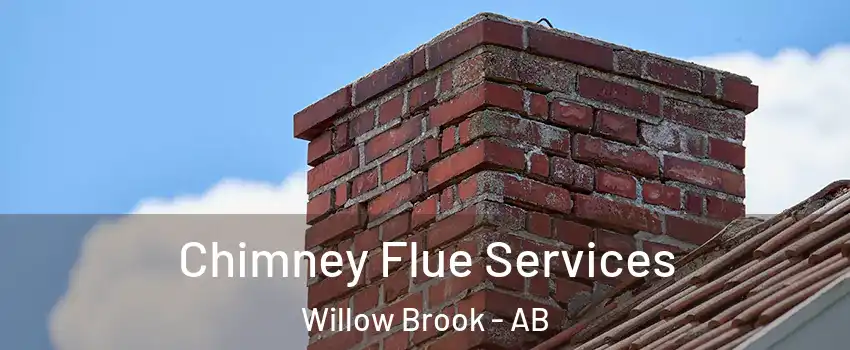  Chimney Flue Services Willow Brook - AB