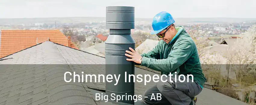  Chimney Inspection Big Springs - AB