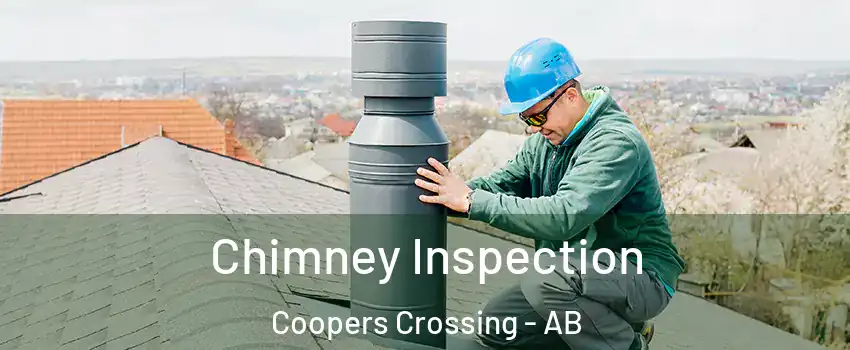  Chimney Inspection Coopers Crossing - AB